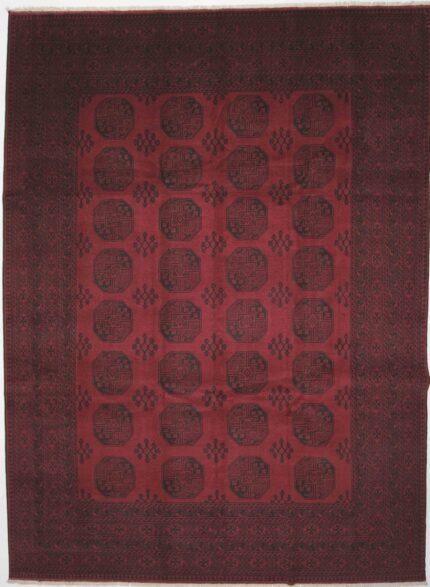 Afghansk Andkoy