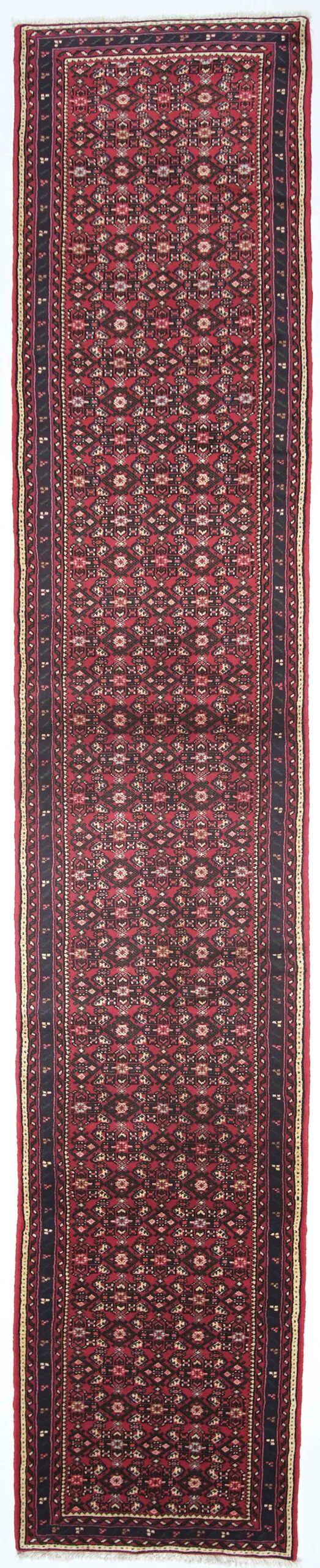 bilder fra lage sommer 257586 kopi