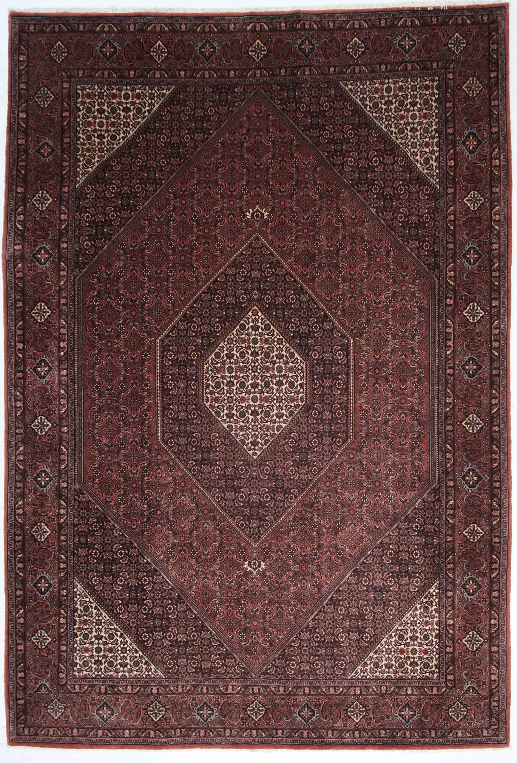 bilder fra lage sommer 257596 kopi