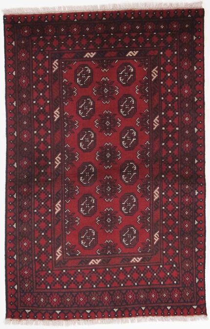 Afghansk Andkoy