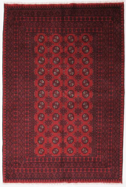 Afghansk Andkoy