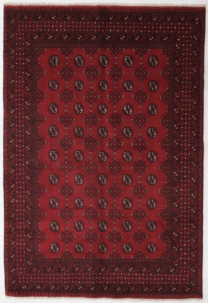 Afghansk Andkoy