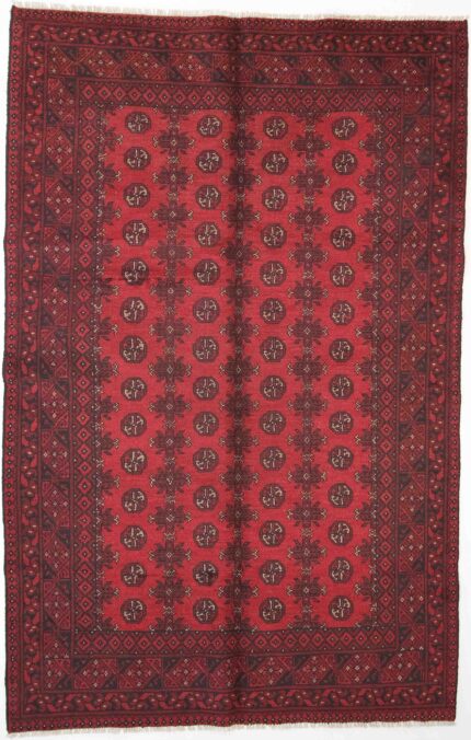 Afghansk Andkoy