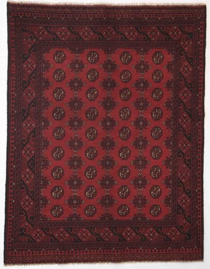 Afghansk Andkoy