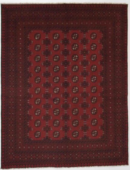 Afghansk Andkoy