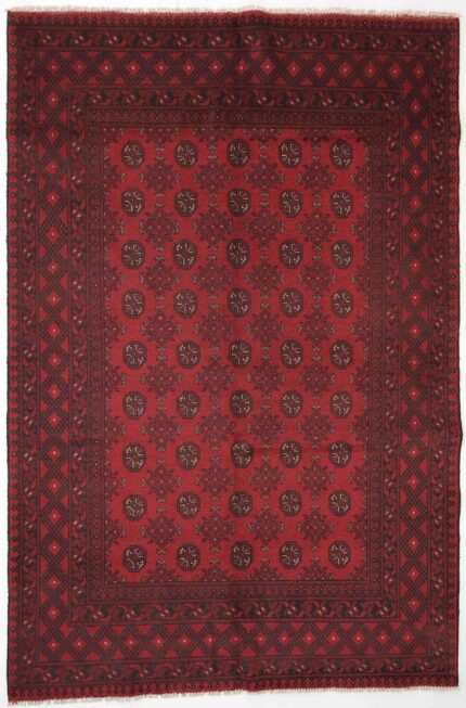 Afghansk Andkoy